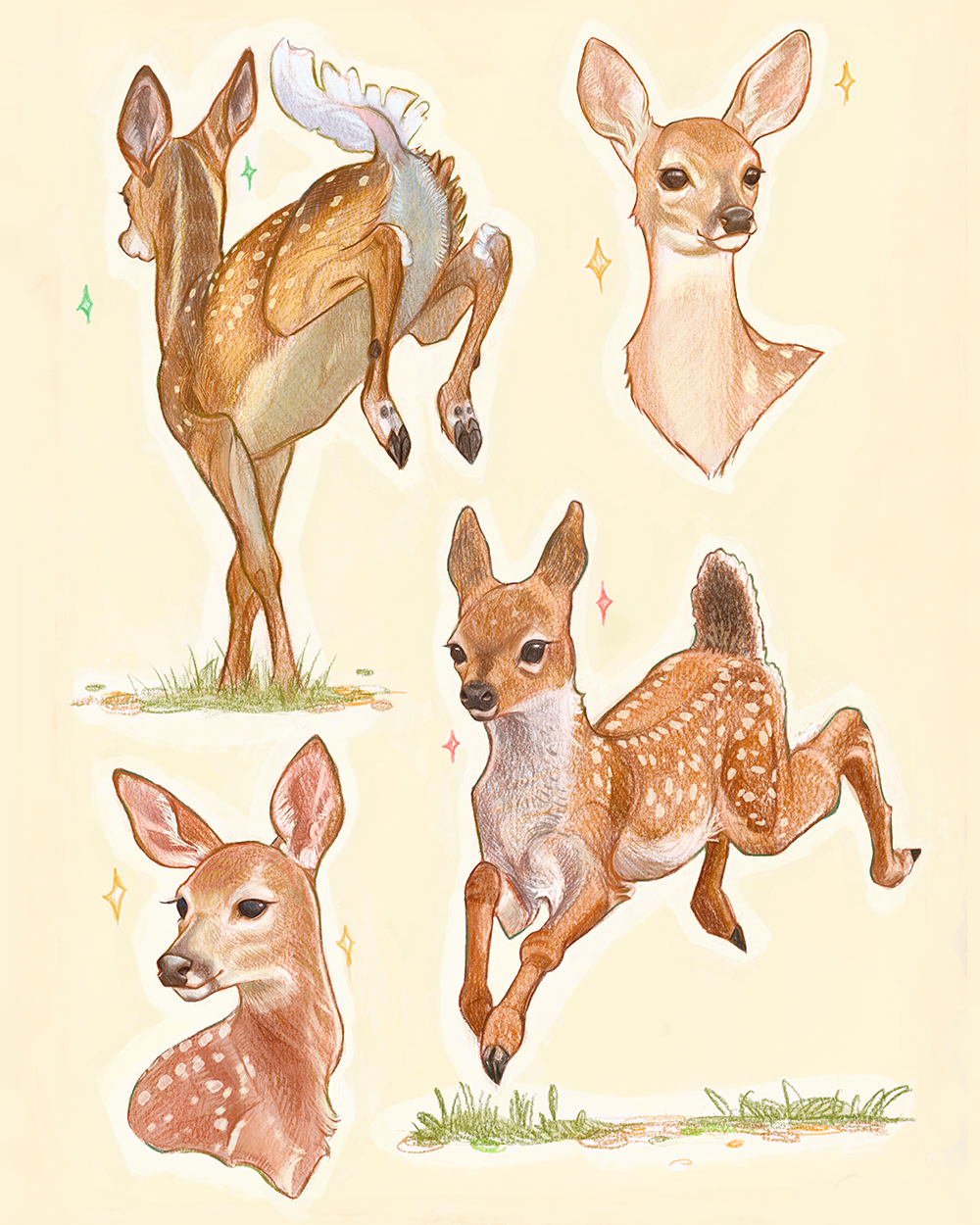 deer - print
