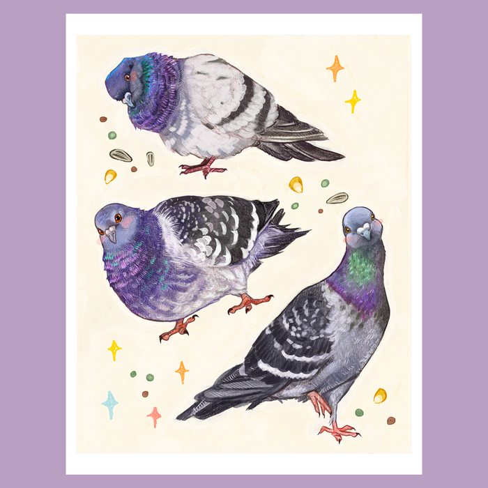 pigeons - print
