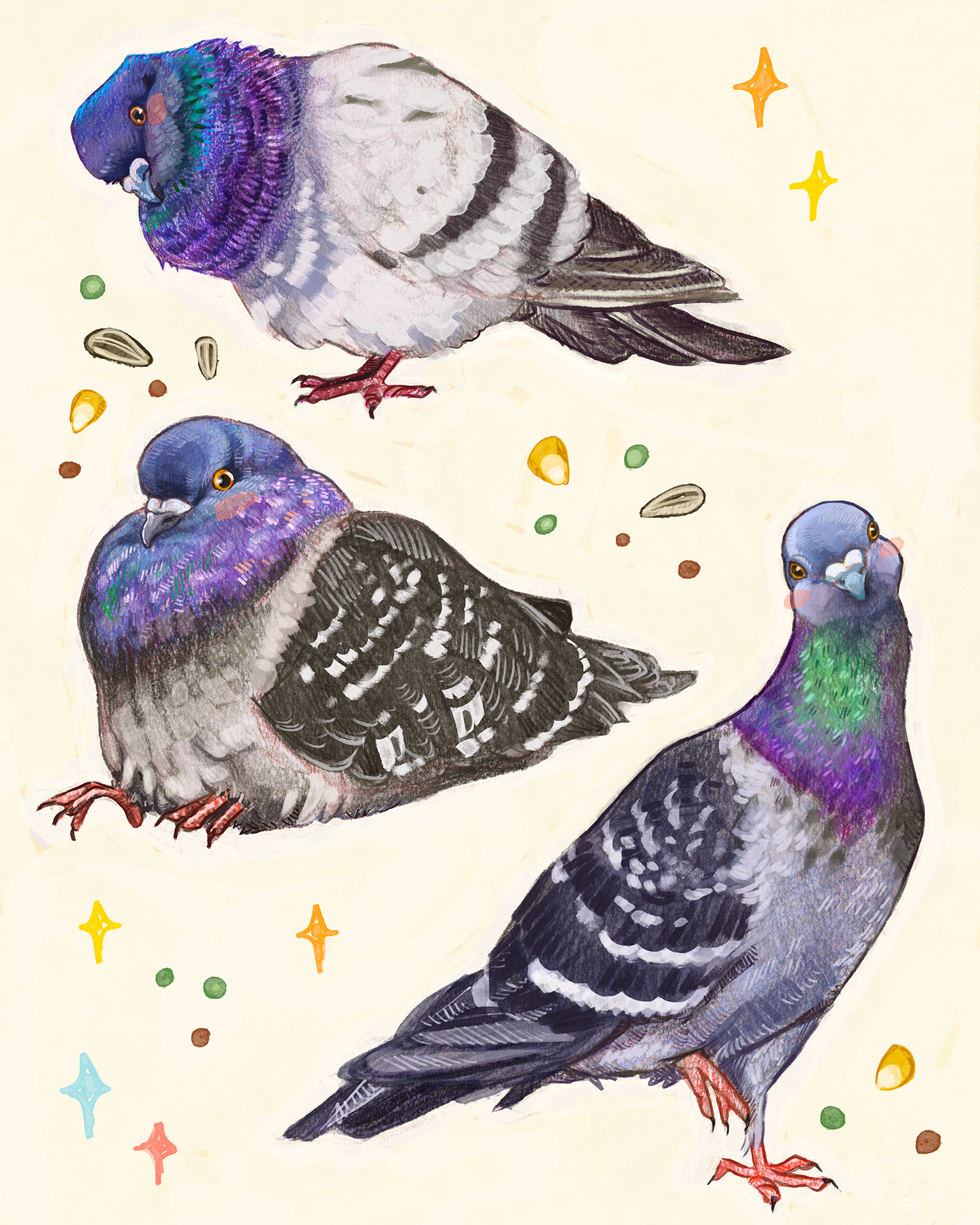 pigeons - print