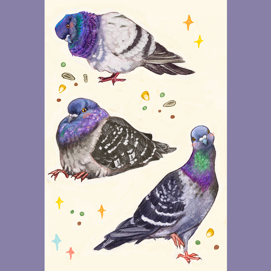 pigeons - mini print