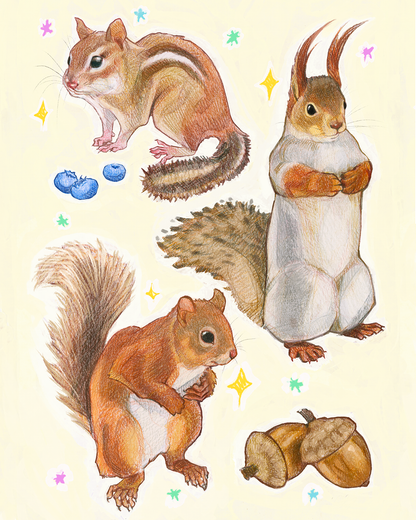 squirrels - print